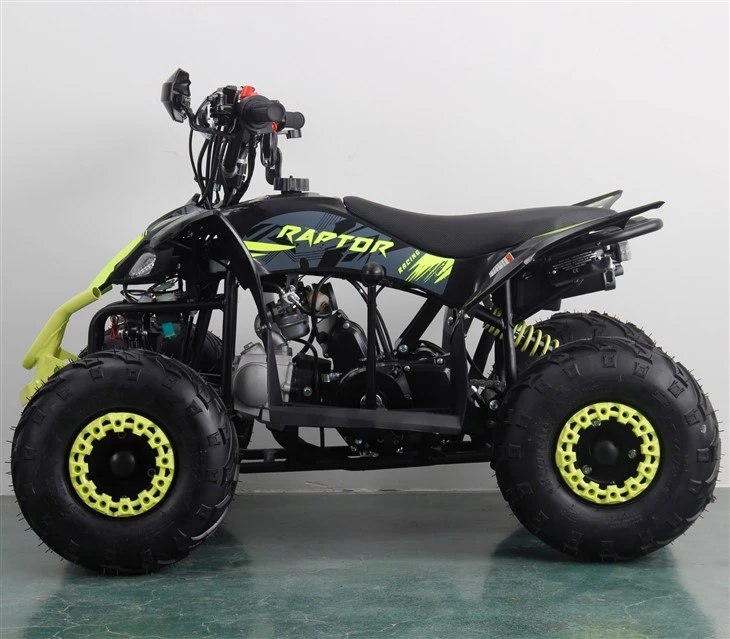 Four Stroke 50cc 110cc Automatic ATV Quad For Kids